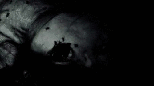 tumblr_mkcgohHhVZ1s8o1r4o1_500