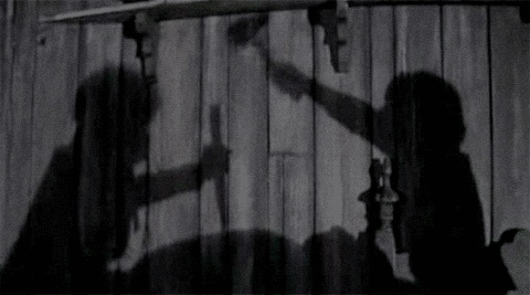 tumblr_lt55fhAEQm1qdx4k4o1_500