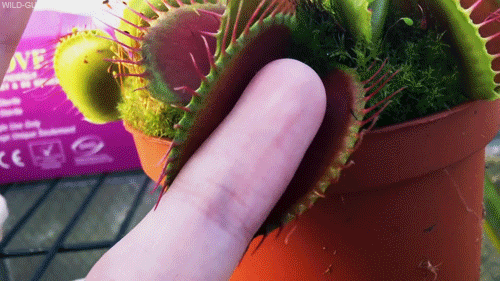 Houston commercial photography