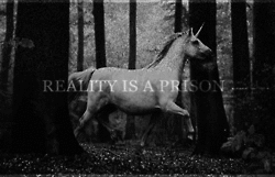 Image and video hosting by TinyPic