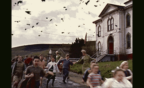 I thought of Alfred Hitchcock during my random bird attack