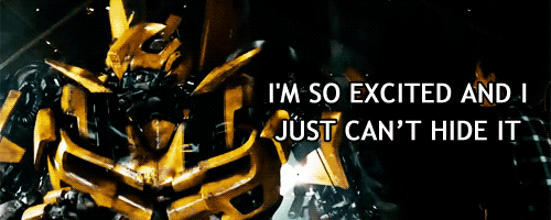 Afbeeldingsresultaat voor so excited bumblebee + gif