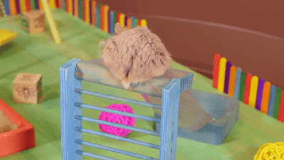 tumblr_np4mxuup6c1s02vreo5_400