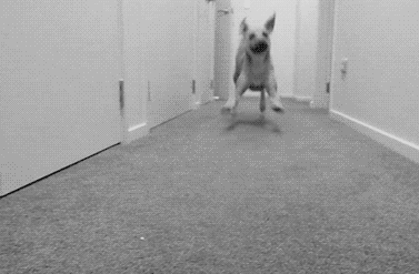  photo 7Yjf9zZxQmSwU.gif