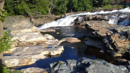 salmon falls