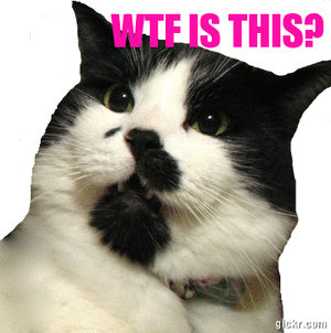  photo 487E2C2A-02B4-4AAA-B7D5-CF39073CEB8E_zpsdke81qjf.gif