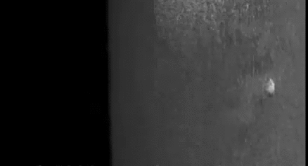 Image and video hosting by TinyPic