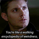 Weird photo: tumblr_m00ug7e0an1qjxl1no3_250.gif