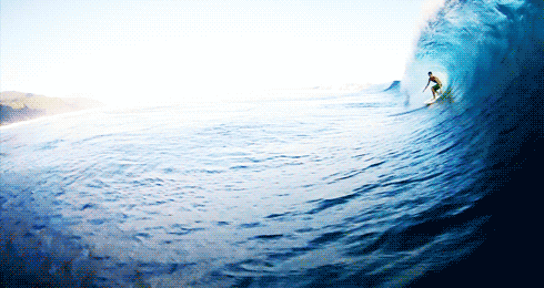 photo swallowed-by-the-wave-surfing-gifs.gif