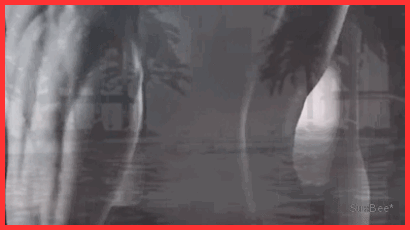 photo ts2 cover xB by sb_zpsrsltinfg.gif