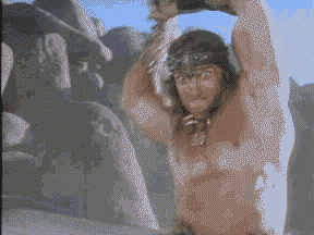 funny gifs