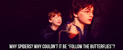 why spiders photo: why spiders tumblr_lwkjlsb6n11r5hrkzo1_500.gif