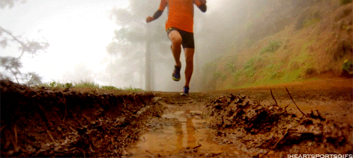 cross country running tumblr - Google Search