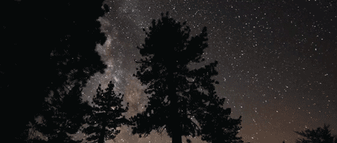  photo tumblr_n9nfecfM2k1rodceto1_500_zpsz3v0ha24.gif