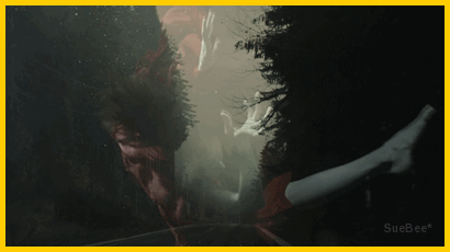  photo ps cover xB by sb_zpszkrjic1f.gif