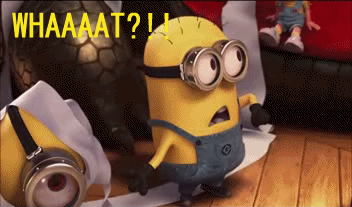 photo WHAAAT_zps3upg1kj2.gif
