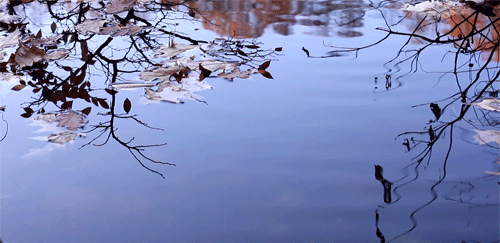 Image result for gif still waters gif