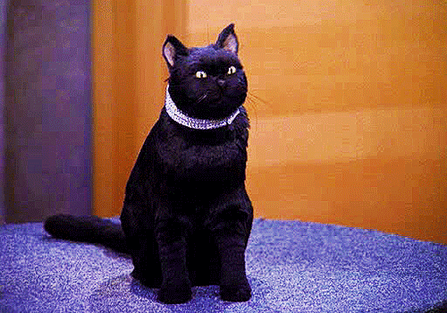 15817741.gif