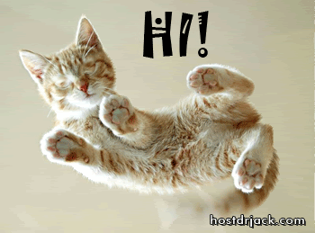 Hi photo: Hi Cat-8.gif