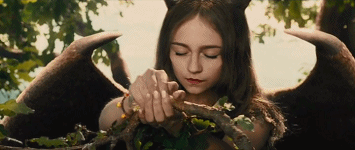 photo image1_zpsaca9a1c2.gif
