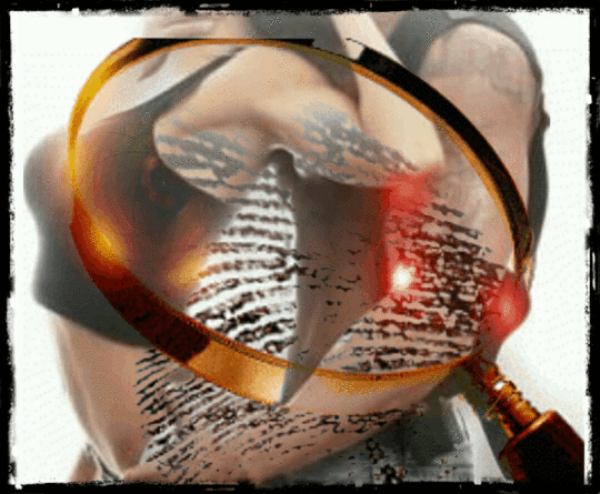 Image and video hosting by TinyPic