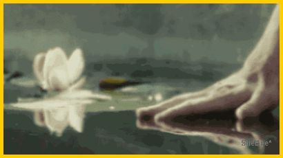 photo ps story xB by sb_zpsbrpnxbc7.gif