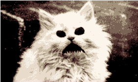 tumblr_ne9agw4bsG1qa747mo1_400