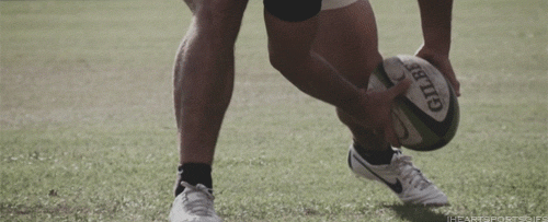  photo rugby.gif