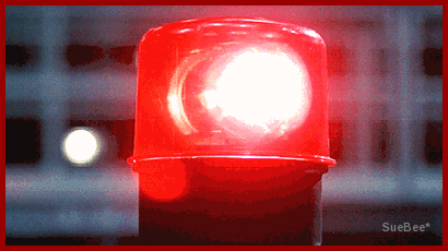 16231713.gif
