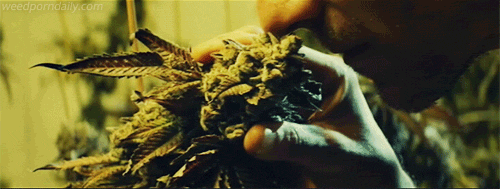 Chicago commercial photographers