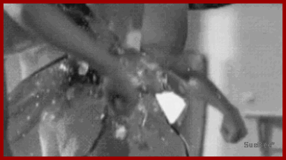  photo shhh story xB by sb_zpsnpewgwqf.gif