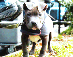 Chicago commercial photographers