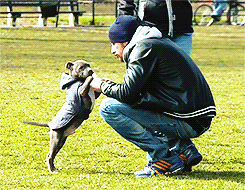 Chicago commercial photographers