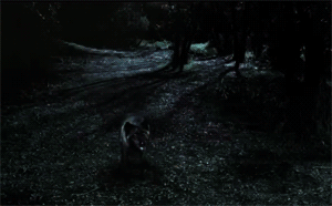 Chicago commercial photographers