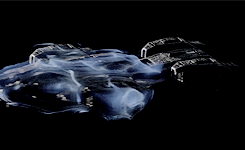 gif via http://foxyfoxy.tumblr.com/