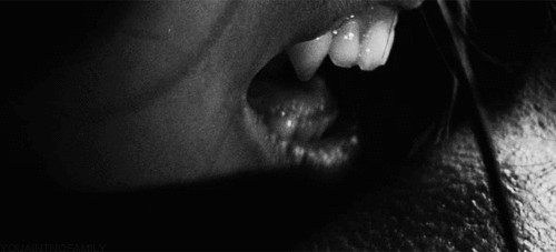  photo 45313F78-9106-474A-BCD9-B5E9C5DBB117_zpsedseq4kc.gif