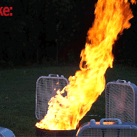 featuregif-fire-tornado