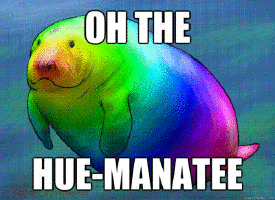 Pun Manatee animated GIF