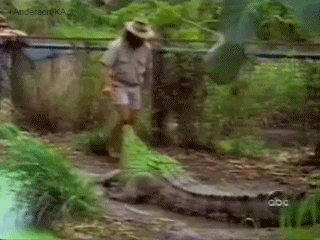 Chicago commercial photographers