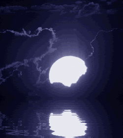 moonlight animated photo: Moonlight moonlight.gif