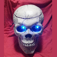 Image: Andrew Terranova