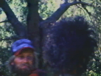 Chicago commercial photographers