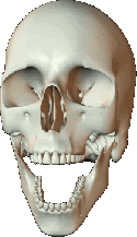laughingskull