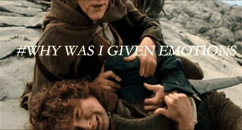 feels photo: LOTR Feels lotrfeels.gif