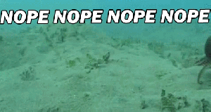 nope-octopus-gif