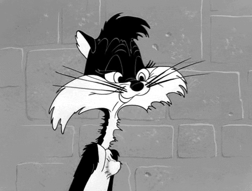 tumblr_lxsjcjS4oX1qzhnmco1_500
