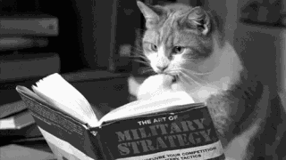 photo reading pic_zps4movsga8.gif