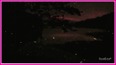  photo bb3 revend xB by sb_zpssuz8wnzj.gif