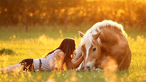 photo tumblr_mstk4qcOdY1sp0bpmo1_500_zps2seugi52.gif