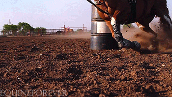 photo tumblr_ngnj7ggT5y1s5suo9o1_400_zpsmqoaoyqc.gif